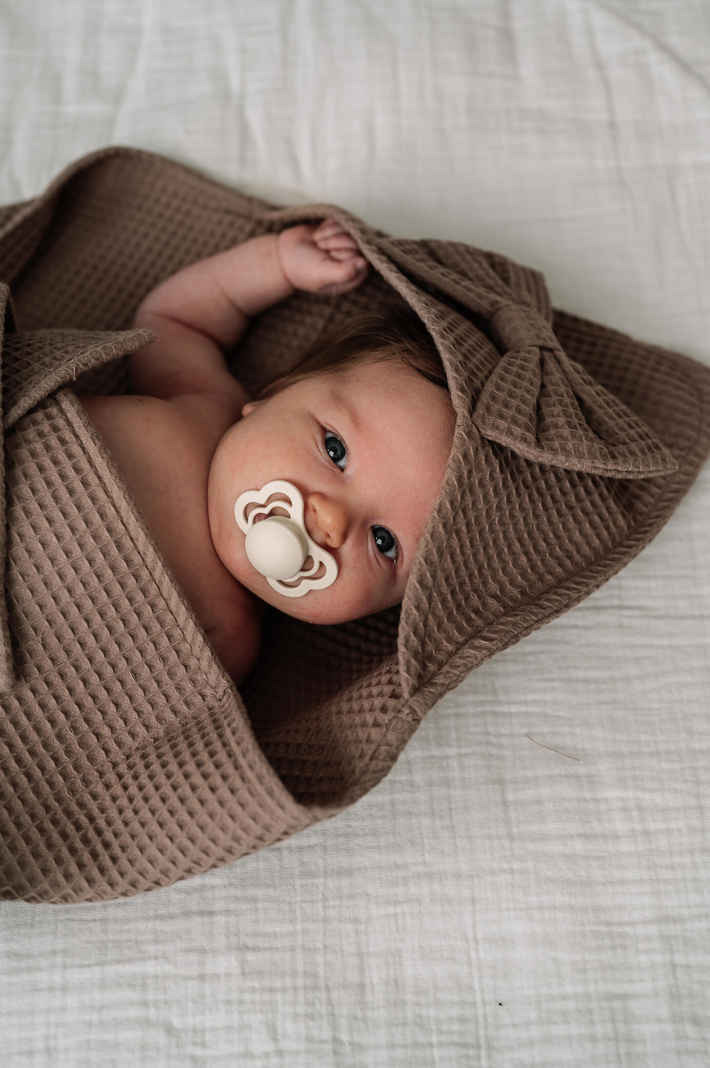 Huppupyyhe Rusetti, Brown