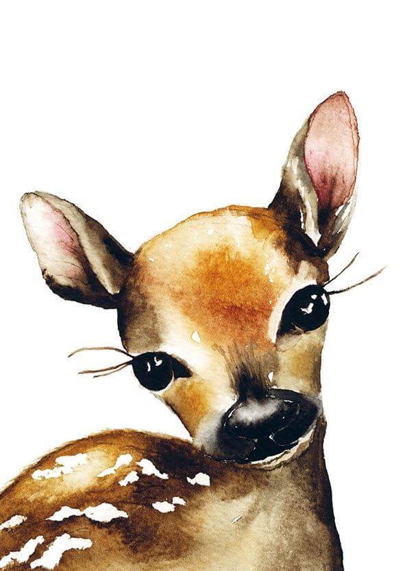 bambi-kortti