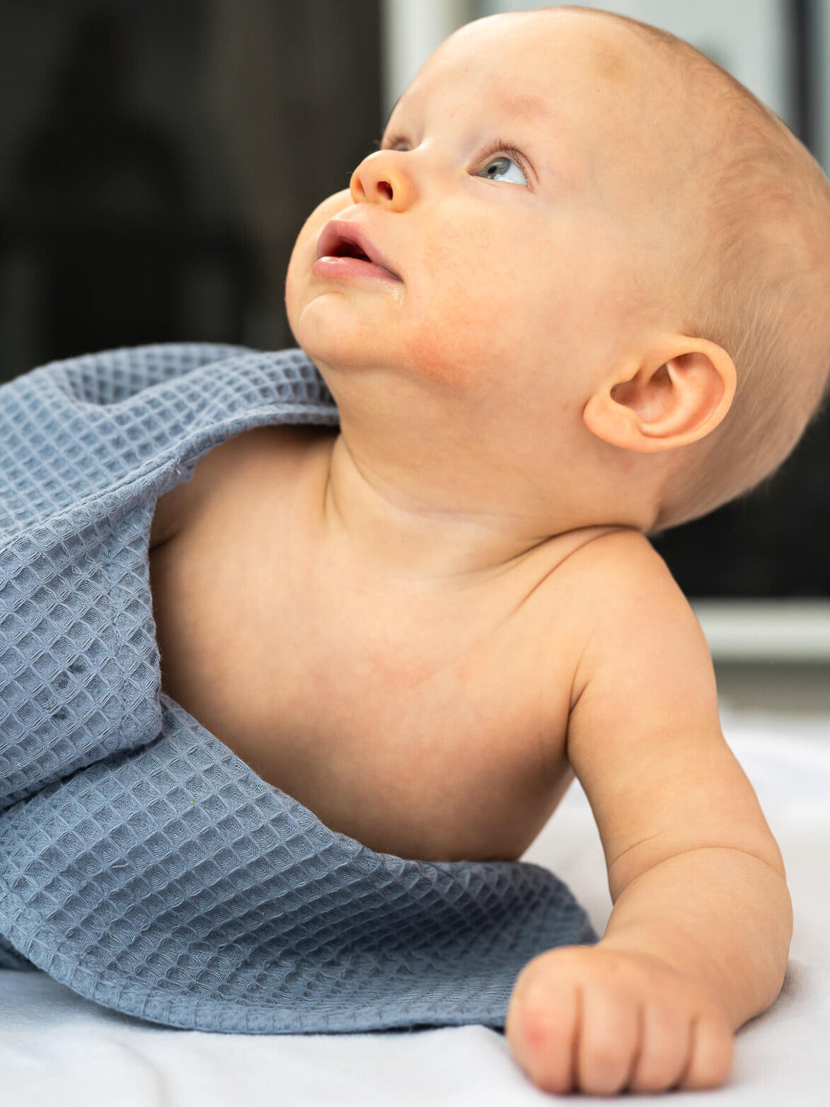 Handduk med huva nalle, Blue