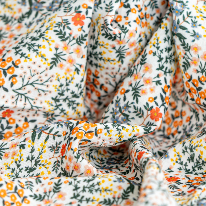 Autumn flowers