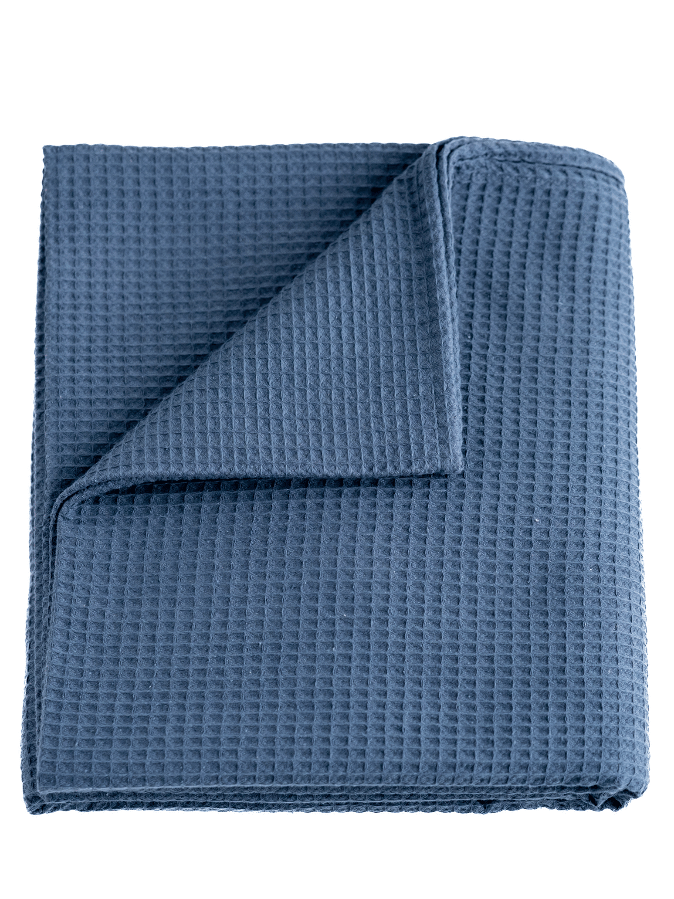 Hattara-blueberry.png [Blueberry]