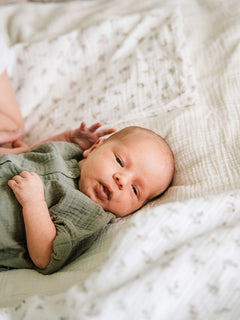 asukuva_vauvanpussilakanat_harsohaalari