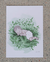 tuotekuva__vauva_pesassa_kortti